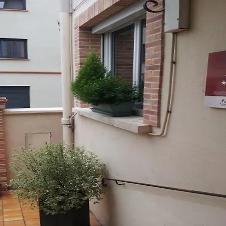 Alize Hotell Toulouse